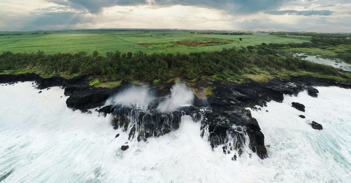 Tour du sud sauvage à l'Île Maurice
