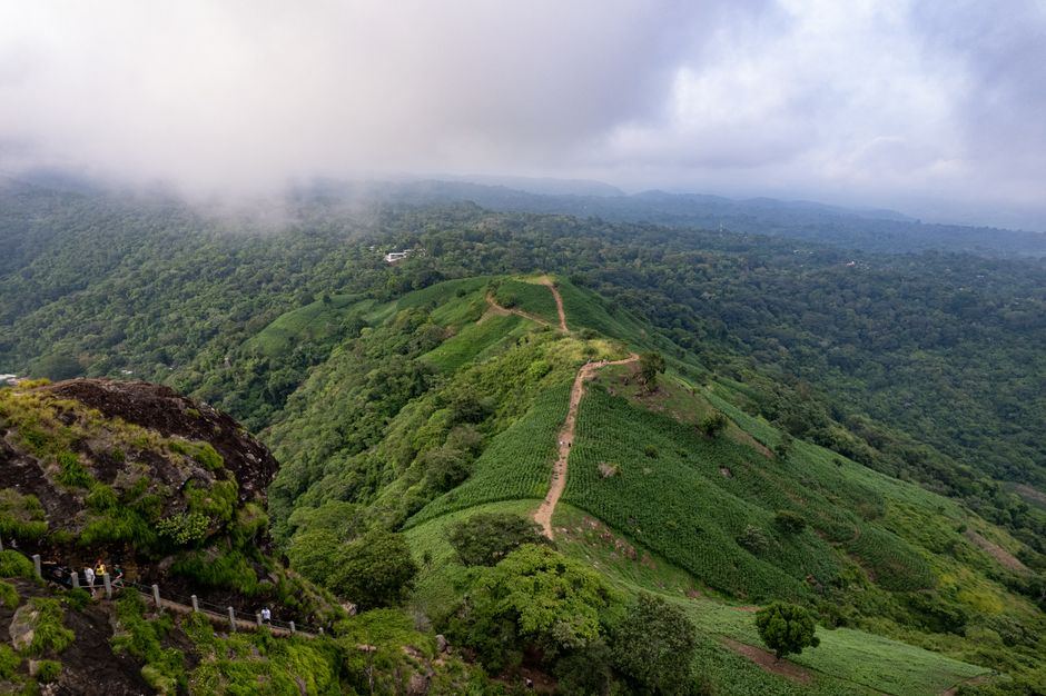 Sentier de randonnée en montagne tropicale